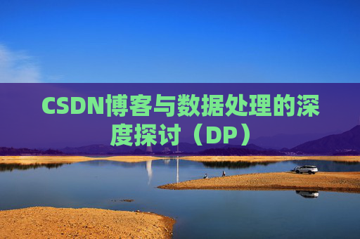 CSDN博客与数据处理的深度探讨（DP）