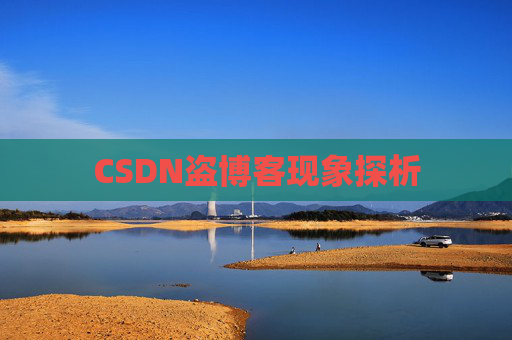 CSDN盗博客现象探析